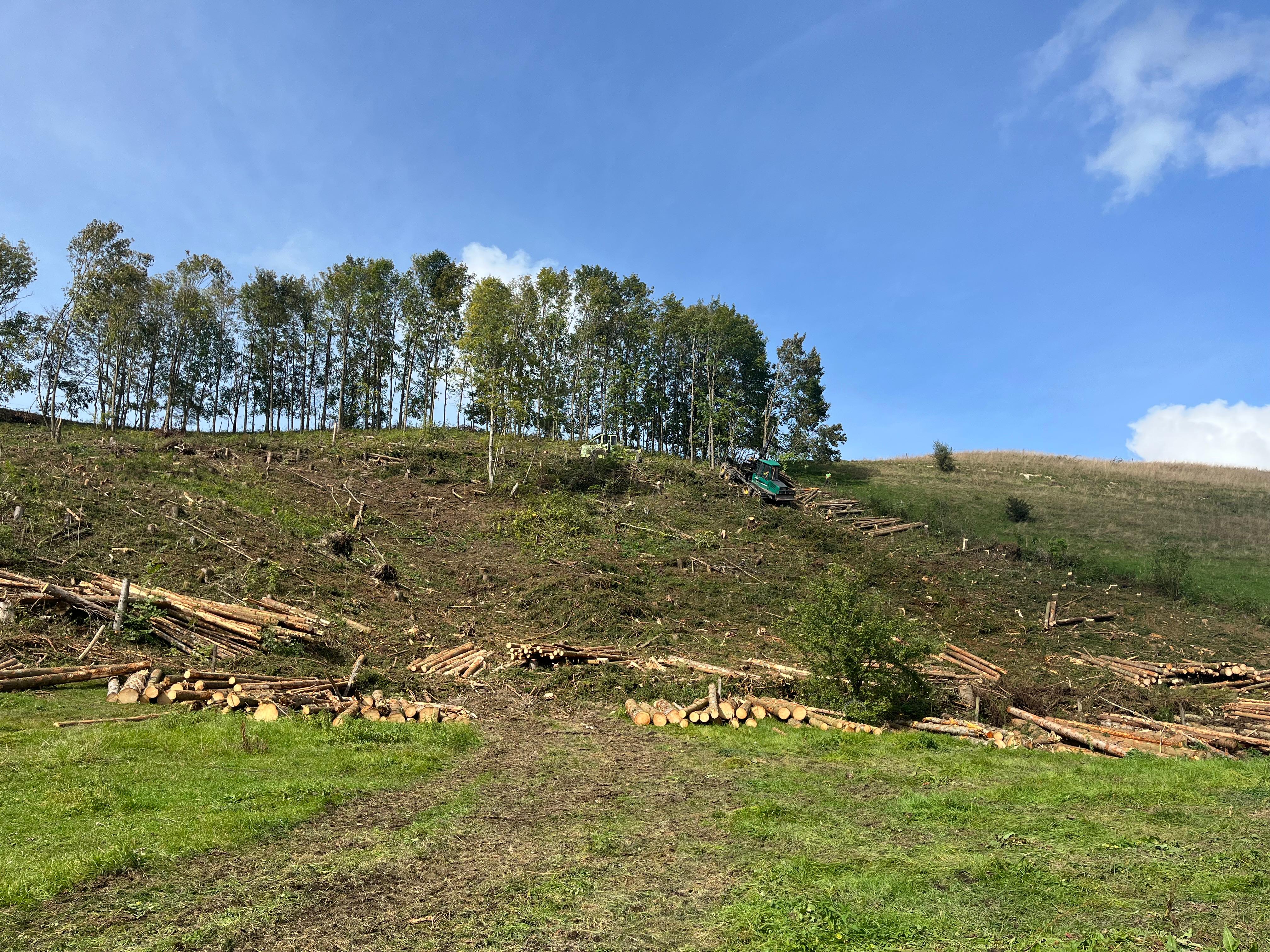 Défrichement et déboisement dans le Jura — SAS POLYVIER